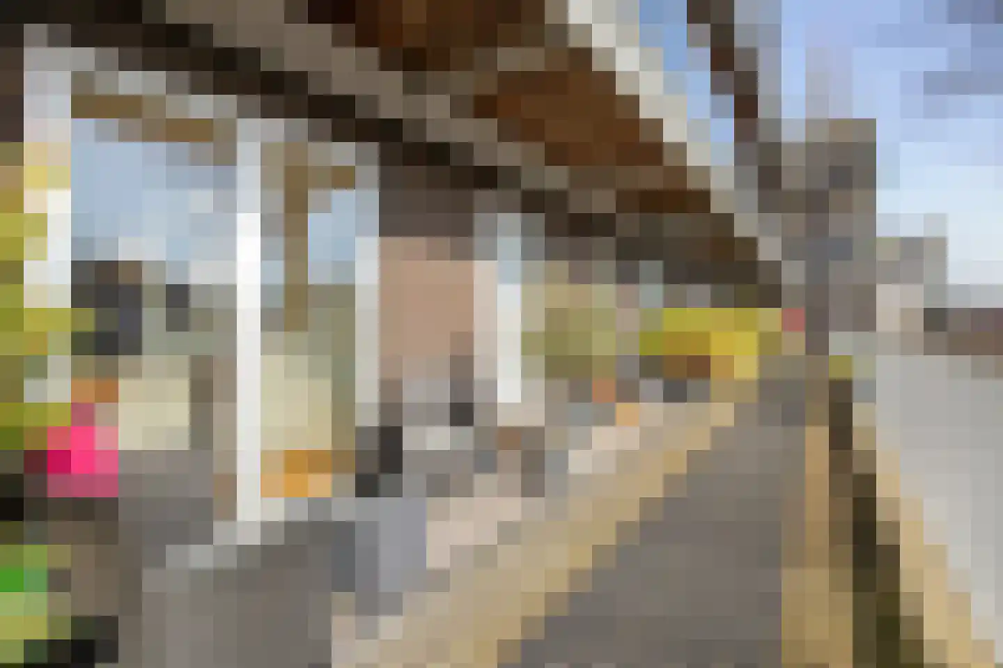 Prinses Máximastraat 24 Velp thumbnail 30