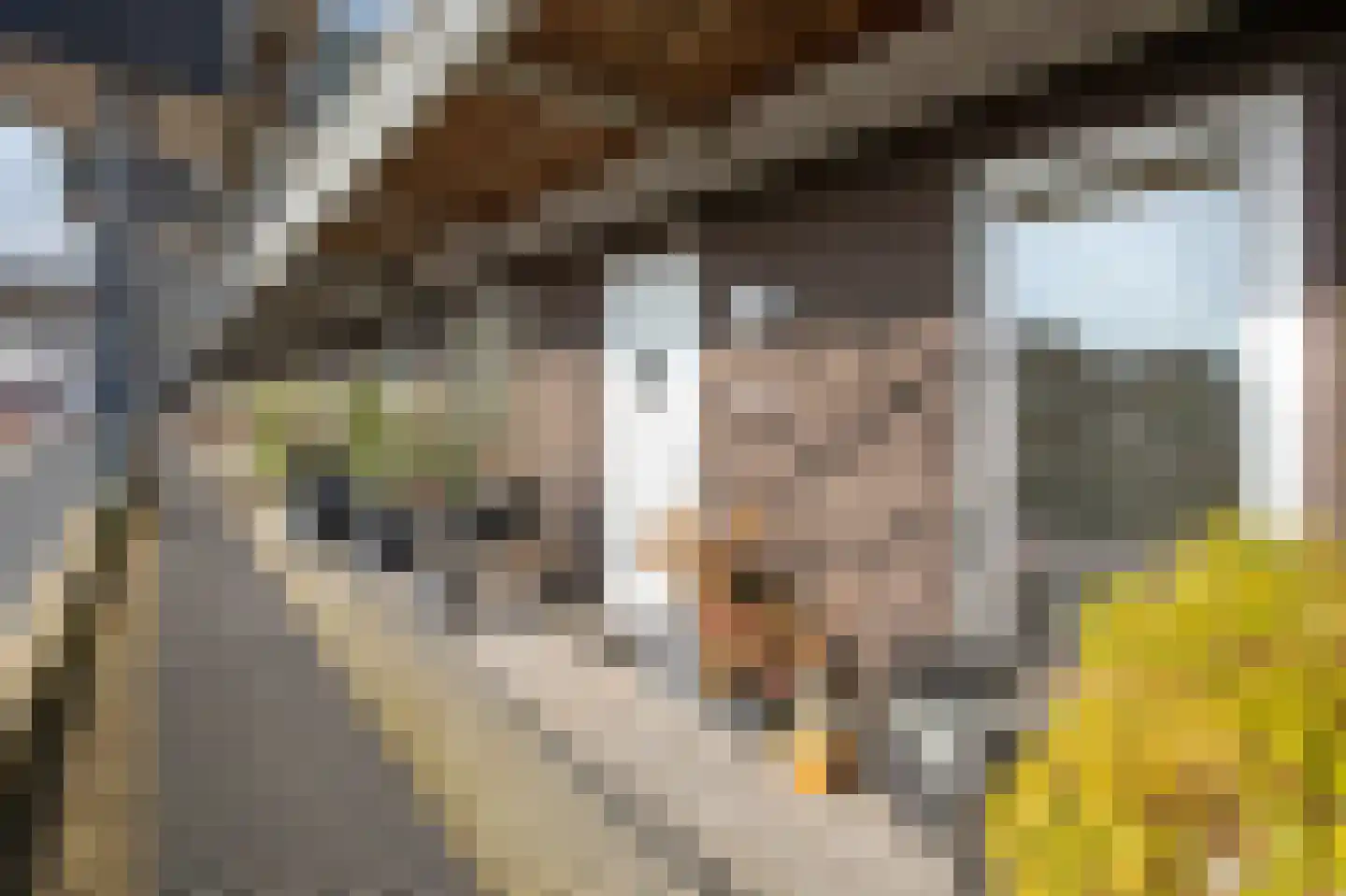 Prinses Máximastraat 24 Velp thumbnail 6