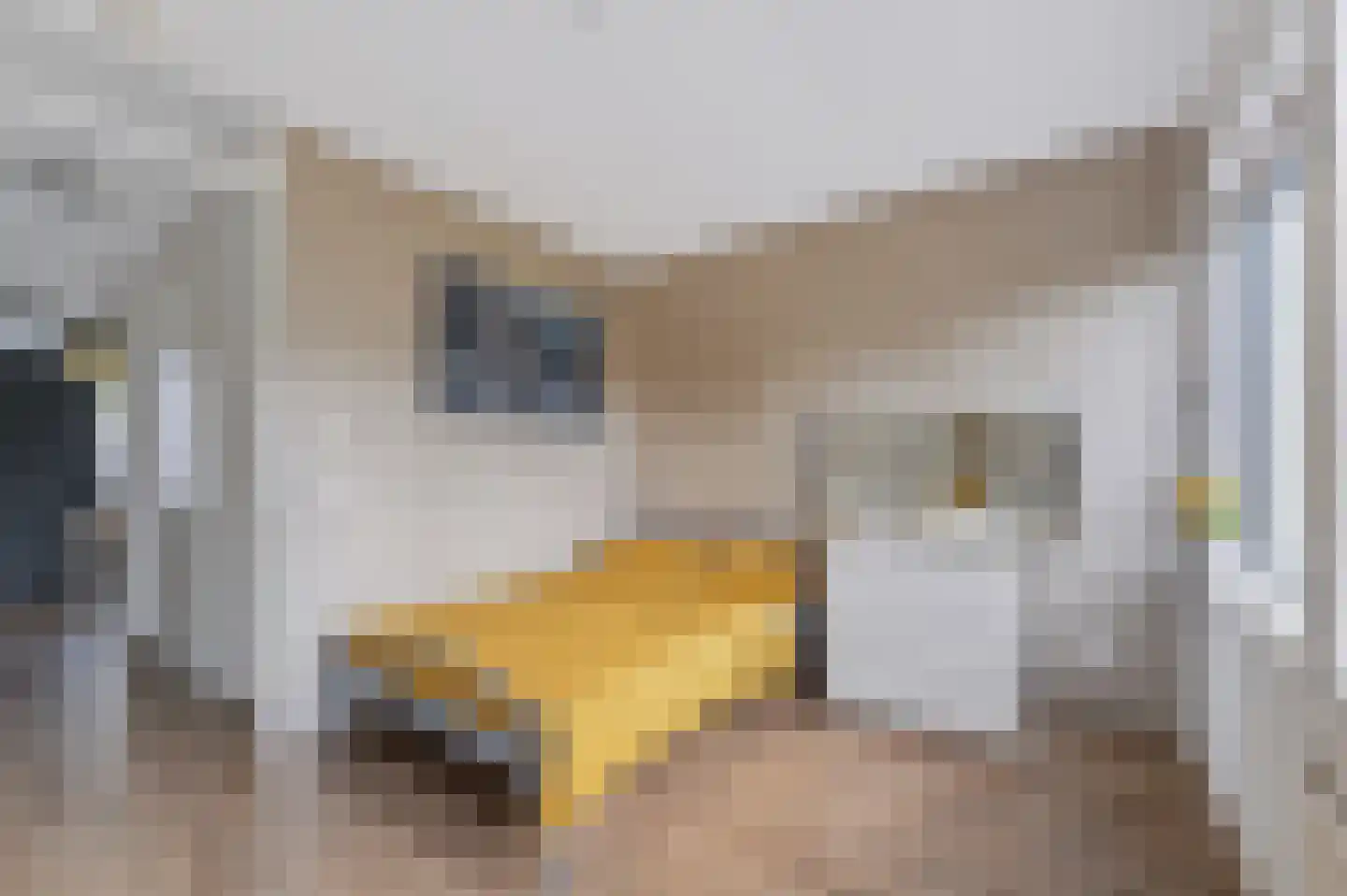 Prinses Maximastraat 3 Nieuwegein thumbnail 37