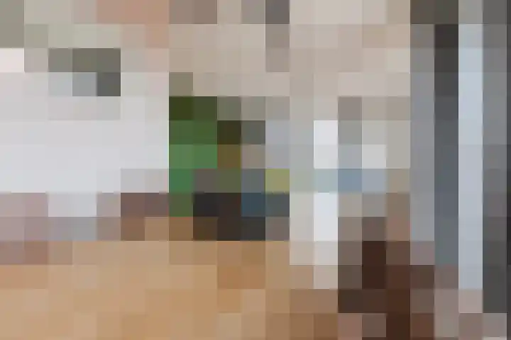 Prinses Máximastraat 56 Velp thumbnail 14