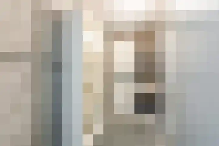 Prinses Máximastraat 56 Velp thumbnail 41