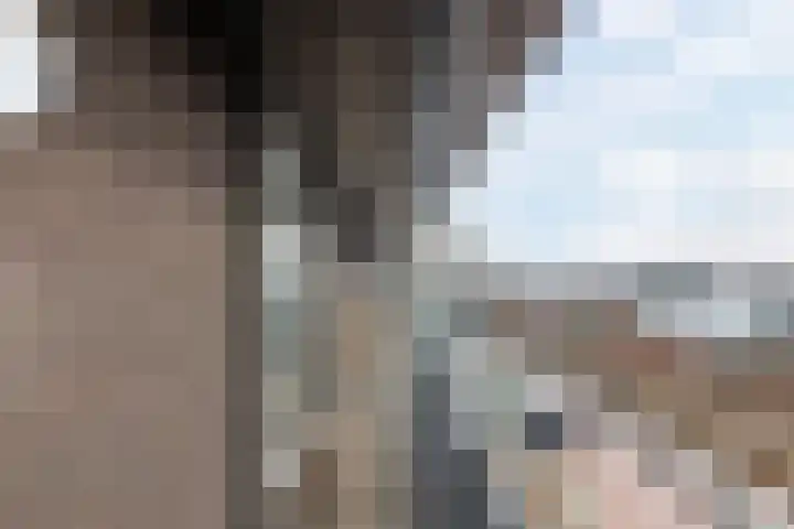 Prinses Máximastraat 56 Velp thumbnail 6