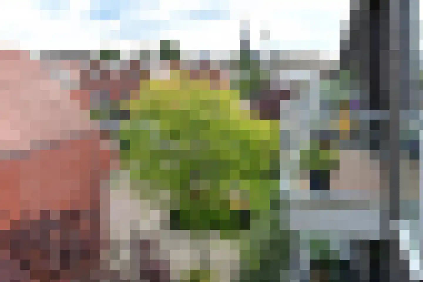 Prinses Máximastraat 60 Velp thumbnail 33