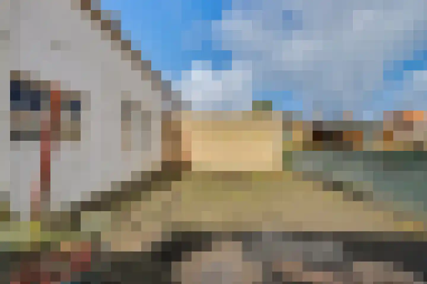 Prinses Maximastraat 9 Nieuwdorp thumbnail 7