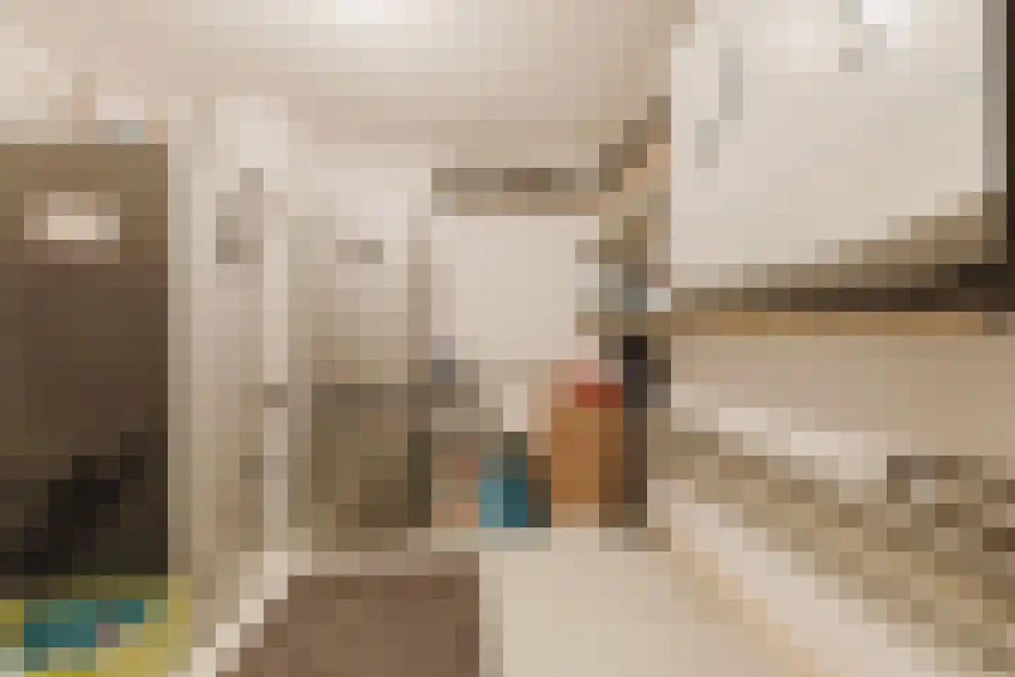 Prinses van Lotharingenstraat 114 Bavel thumbnail 32