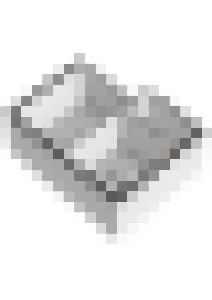 Prinses van Lotharingenstraat 114 Bavel thumbnail 41