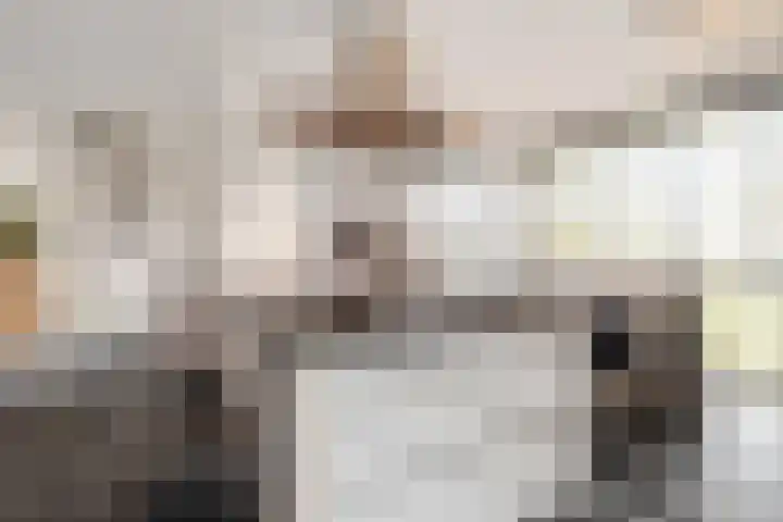 Prinses van Lotharingenstraat 90 Bavel foto 3