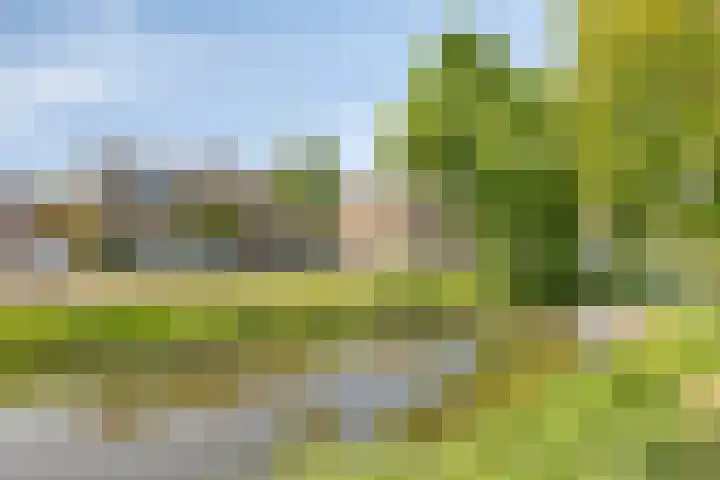 Prinses Wilhelminasingel 15 Zuidoostbeemster thumbnail 13