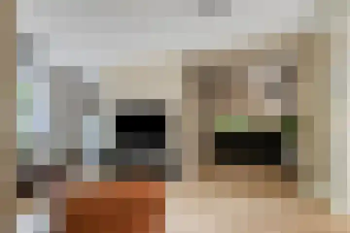 Prinses Wilhelminasingel 15 Zuidoostbeemster thumbnail 18