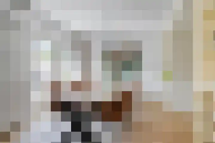 Prinses Wilhelminasingel 15 Zuidoostbeemster thumbnail 28