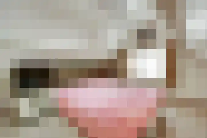 Prinses Wilhelminastraat 14 Aalst thumbnail 27