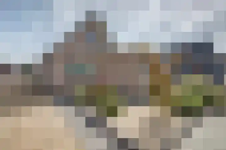 Prinses Wilhelminastraat 14 Aalst thumbnail 35