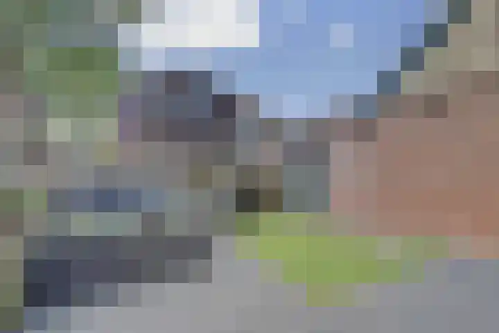 Prinses Wilhelminastraat 15 Baarland thumbnail 29