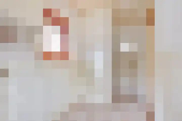 Prinses Wilhelminastraat 15 Nieuwvliet thumbnail 14