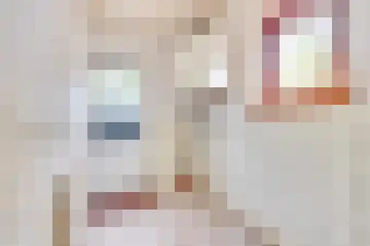 Prinses Wilhelminastraat 15 Nieuwvliet thumbnail 15