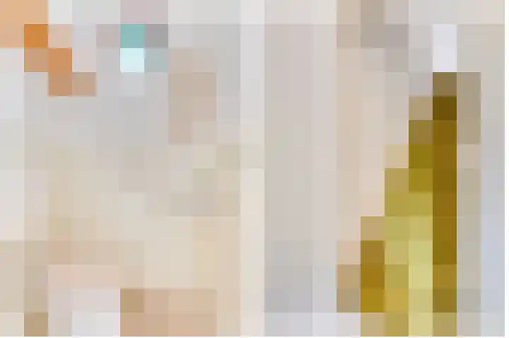 Prinses Wilhelminastraat 15 Nieuwvliet thumbnail 16