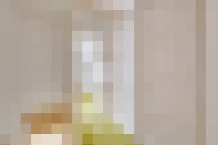 Prinses Wilhelminastraat 15 Nieuwvliet thumbnail 17
