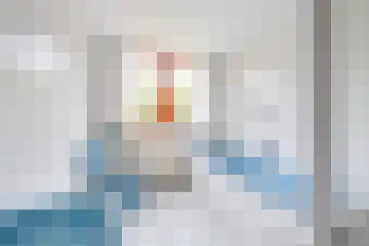 Prinses Wilhelminastraat 15 Nieuwvliet thumbnail 18