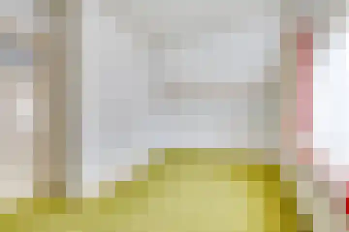 Prinses Wilhelminastraat 15 Nieuwvliet thumbnail 24