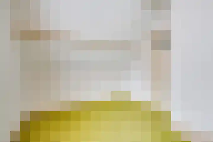 Prinses Wilhelminastraat 15 Nieuwvliet thumbnail 25