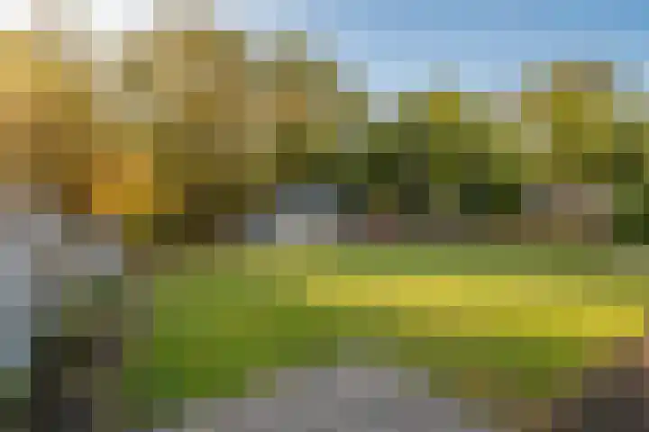 Prinses Wilhelminastraat 15 Nieuwvliet thumbnail 28