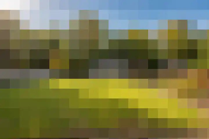 Prinses Wilhelminastraat 15 Nieuwvliet thumbnail 29