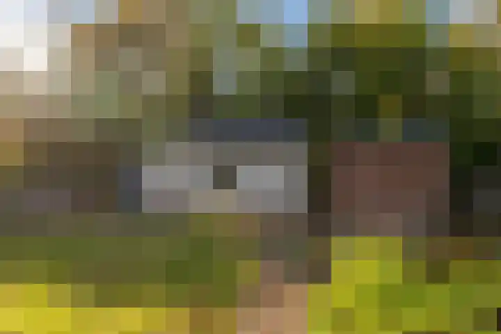 Prinses Wilhelminastraat 15 Nieuwvliet thumbnail 30
