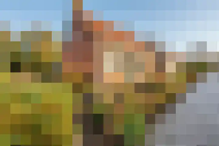 Prinses Wilhelminastraat 15 Nieuwvliet thumbnail 34