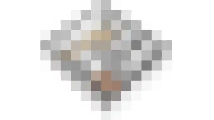 Prinses Wilhelminastraat 15 Nieuwvliet thumbnail 36