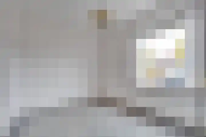 Prinses Wilhelminastraat 15 Nieuwvliet thumbnail 5