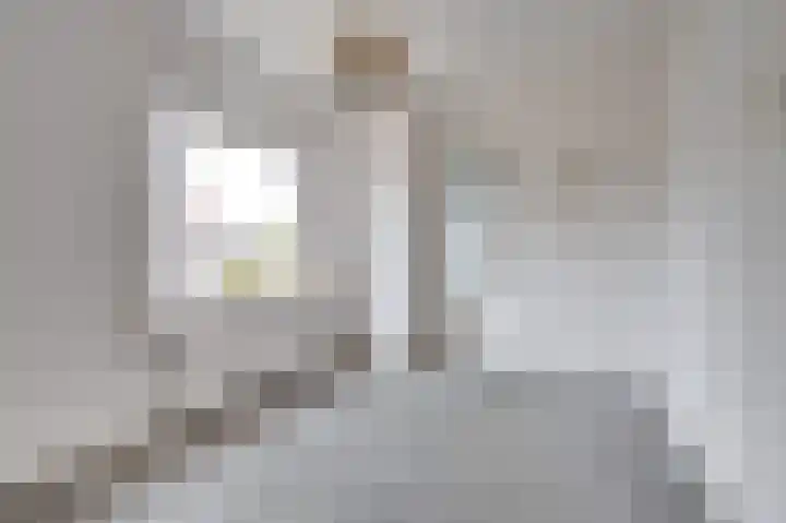 Prinses Wilhelminastraat 15 Nieuwvliet thumbnail 6