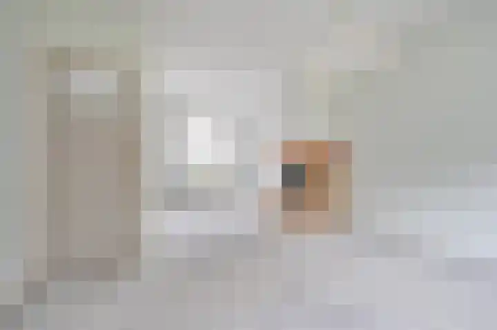 Prinses Wilhelminastraat 15 Nieuwvliet thumbnail 7