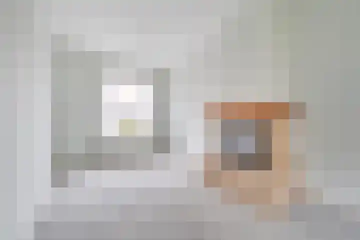 Prinses Wilhelminastraat 15 Nieuwvliet thumbnail 8