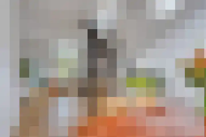 Prinses Wilhelminastraat 24 Leiden thumbnail 6