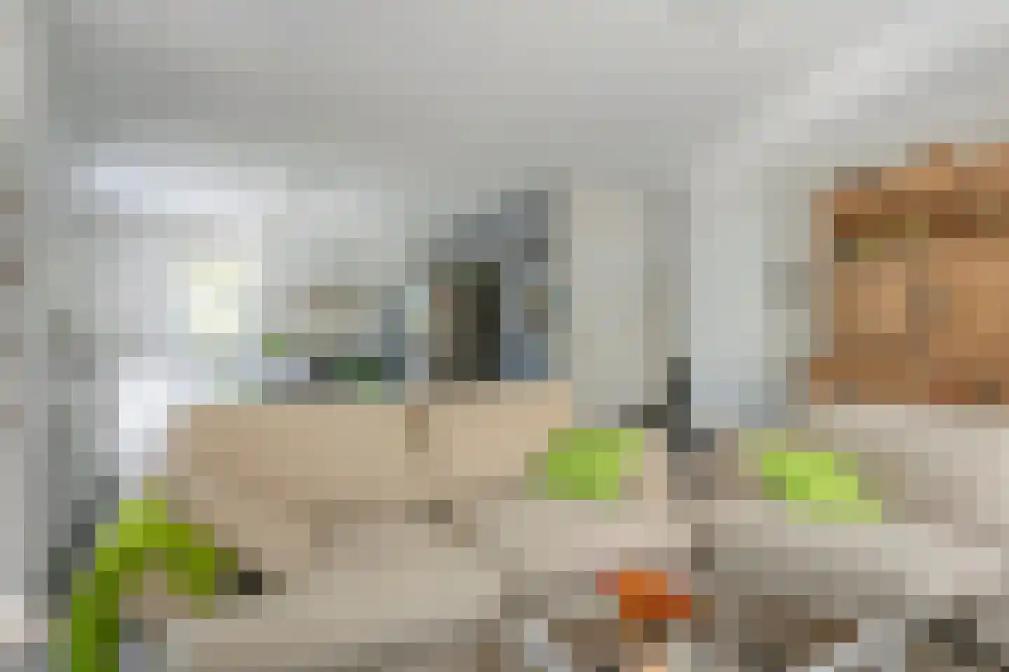 Prinses Wilhelminastraat 27 Nieuwvliet thumbnail 10