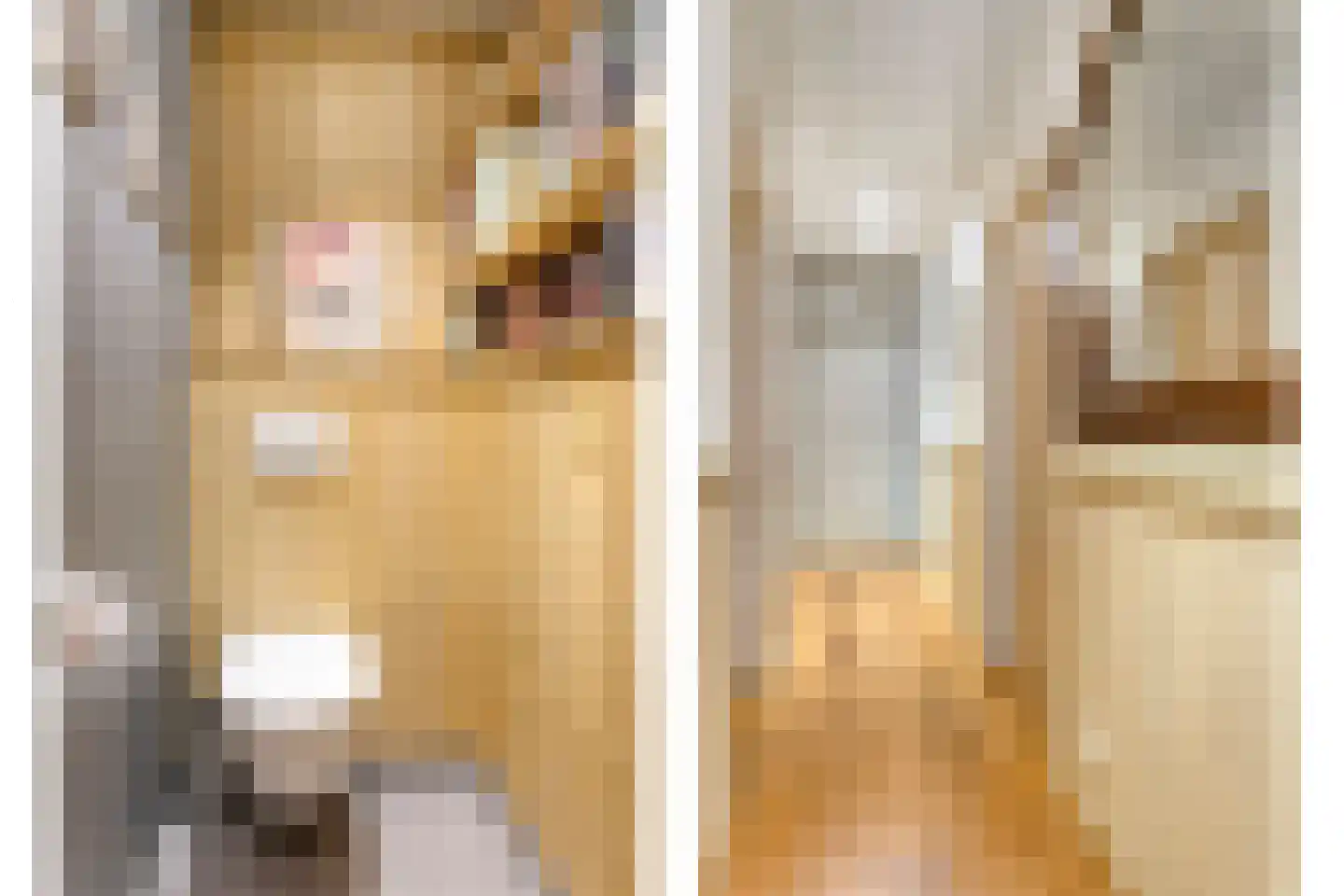 Prinses Wilhelminastraat 27 Nieuwvliet thumbnail 15