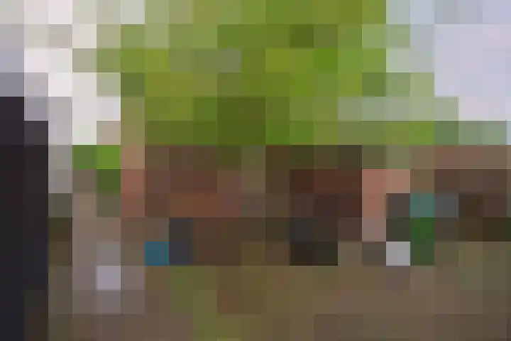 Prinses Wilhelminastraat 5 Aalst thumbnail 13