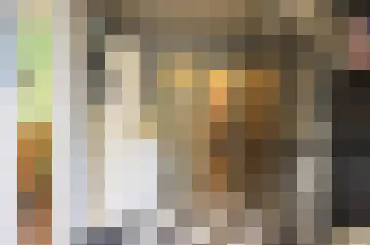 Prinses Wilhelminastraat 5 Aalst thumbnail 20