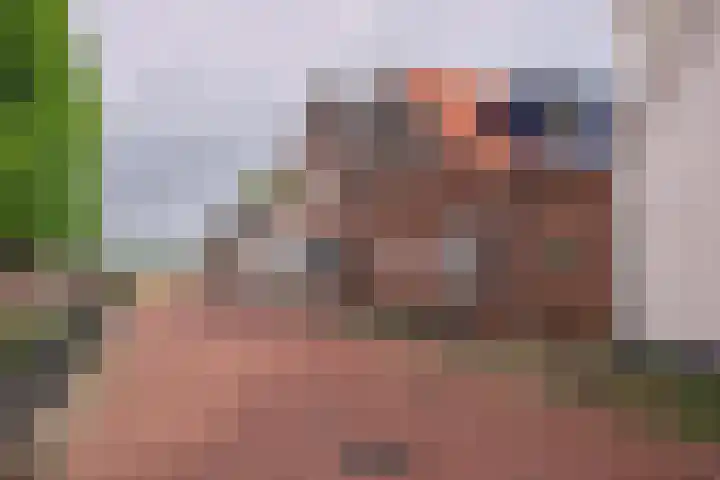 Prinses Wilhelminastraat 5 Aalst thumbnail 7