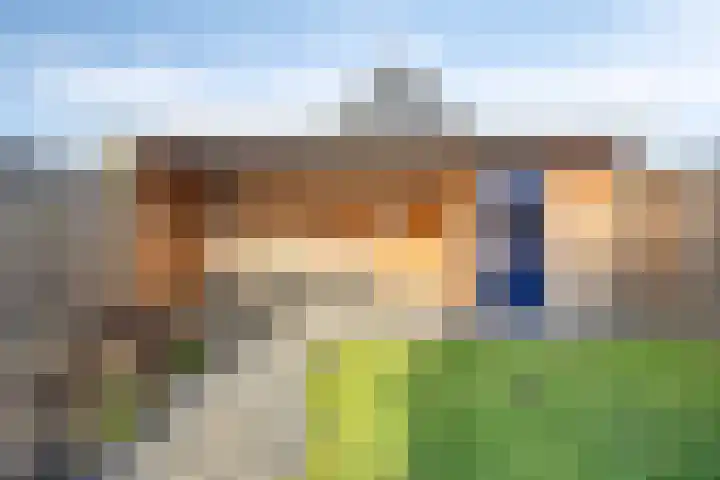 Prinses Wilhelminastraat 6 Baarland thumbnail 20