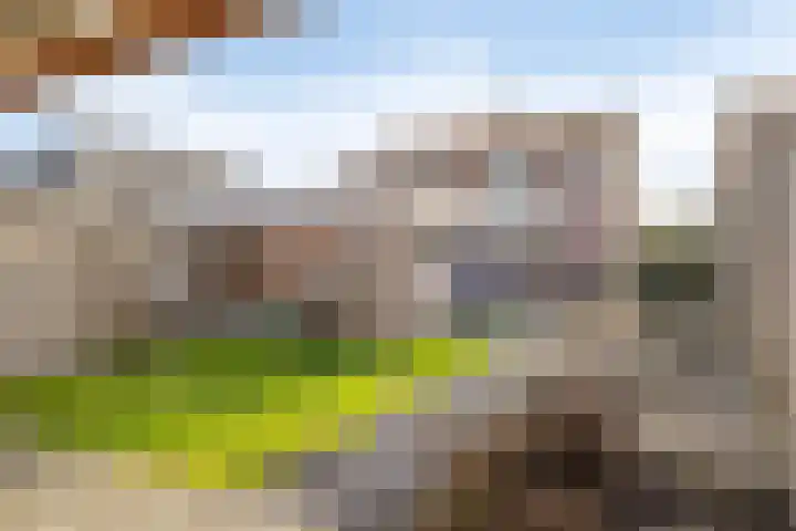 Prinses Wilhelminastraat 6 Baarland thumbnail 4