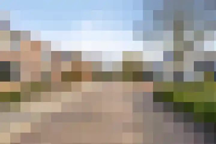 Prinses Wilhelminastraat 6 Baarland thumbnail 6