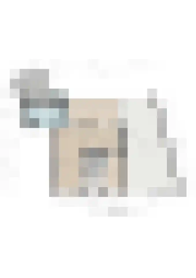 Prinses Wilhelminaweg 12 Bunde thumbnail 33