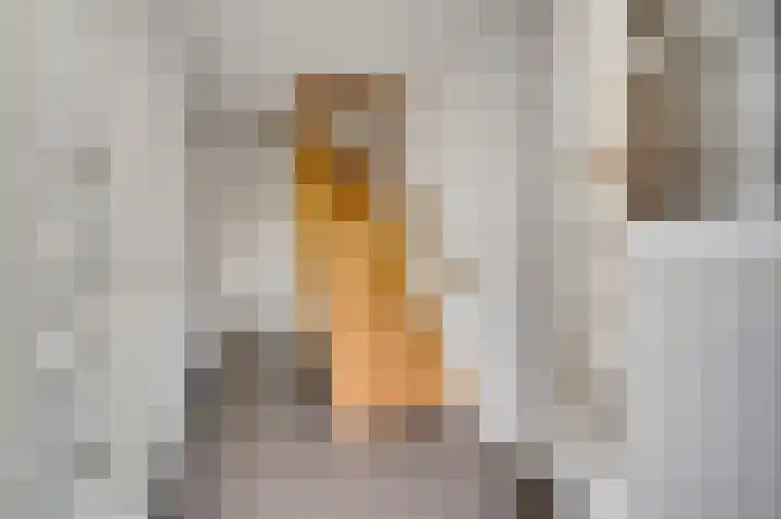 Prinses Wilhelminaweg 6 Bunde thumbnail 10