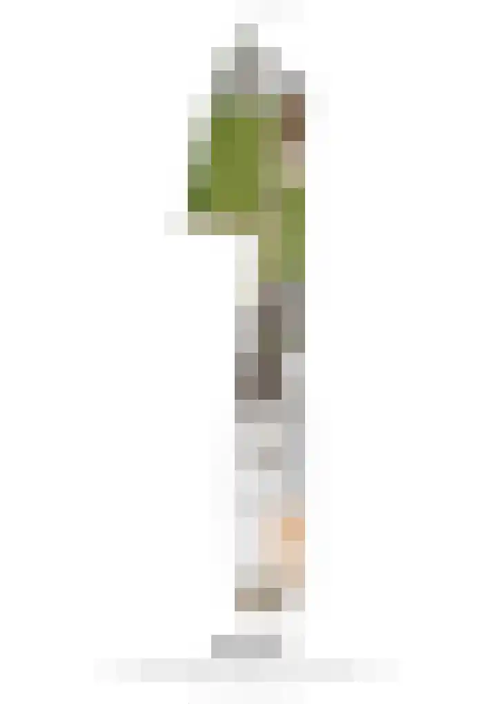 Prinses Wilhelminaweg 6 Bunde thumbnail 23