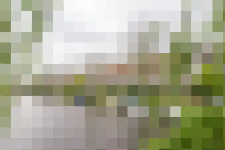 Prinsessekade 34 ZW Haarlem thumbnail 38