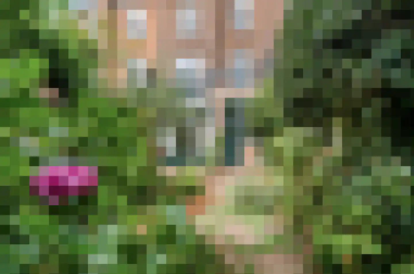 Prinsessekade 42 Haarlem thumbnail 22