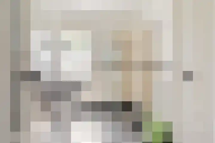 Prinsessekade 52 Haarlem thumbnail 21
