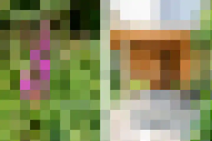 Prinsessekade 52 Haarlem thumbnail 41