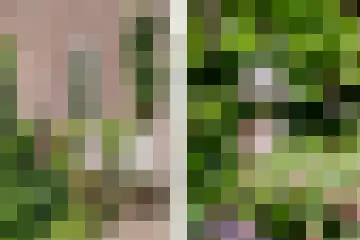 Prinsessekade 52 Haarlem thumbnail 47